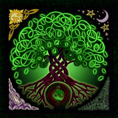 Drzewo - symbol horoskopu celtyckiego